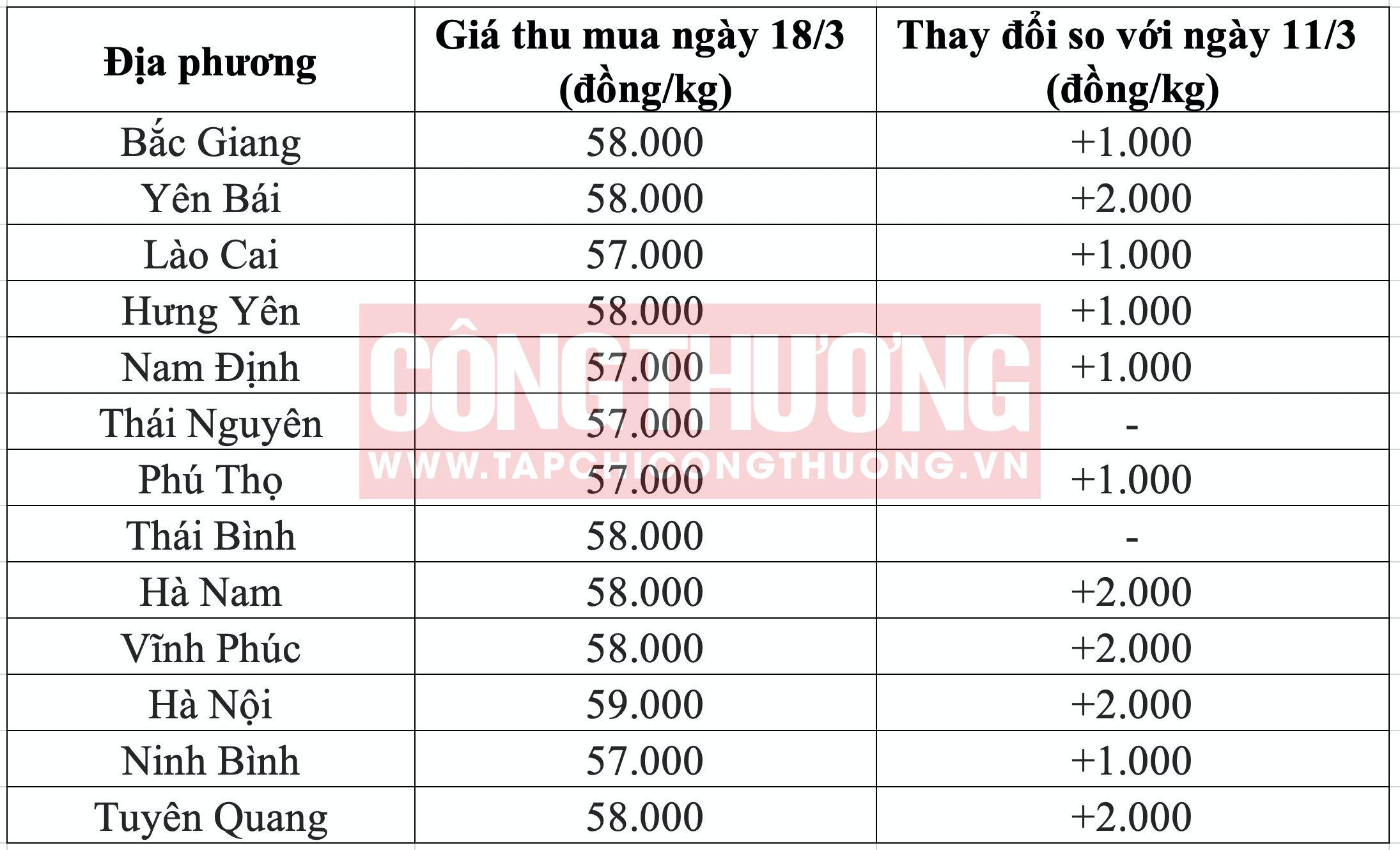 Giá heo hơi hôm nay tại miền Bắc Tạp chí Công Thương