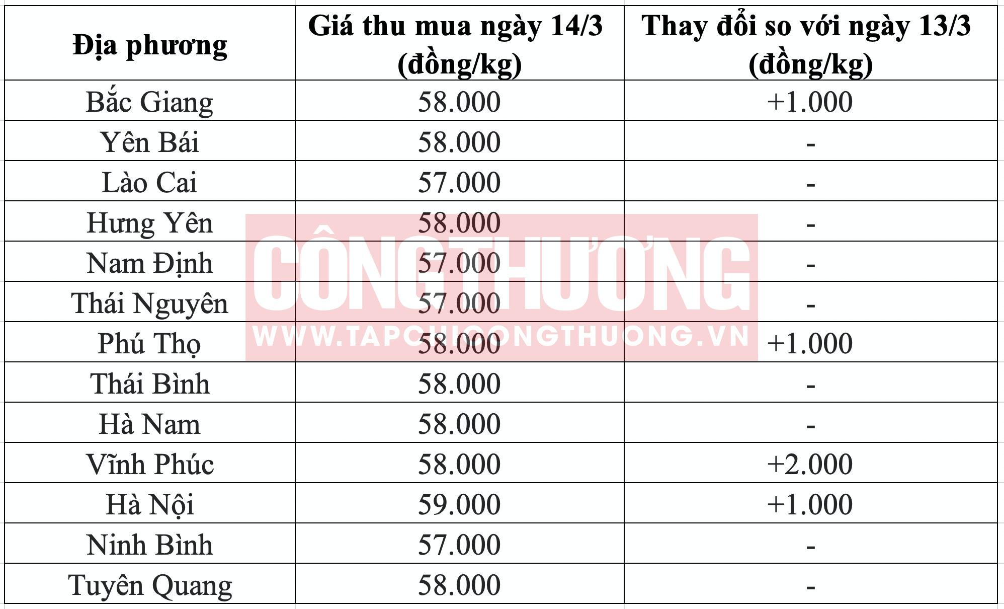 Giá heo hơi hôm nay tại miền Bắc