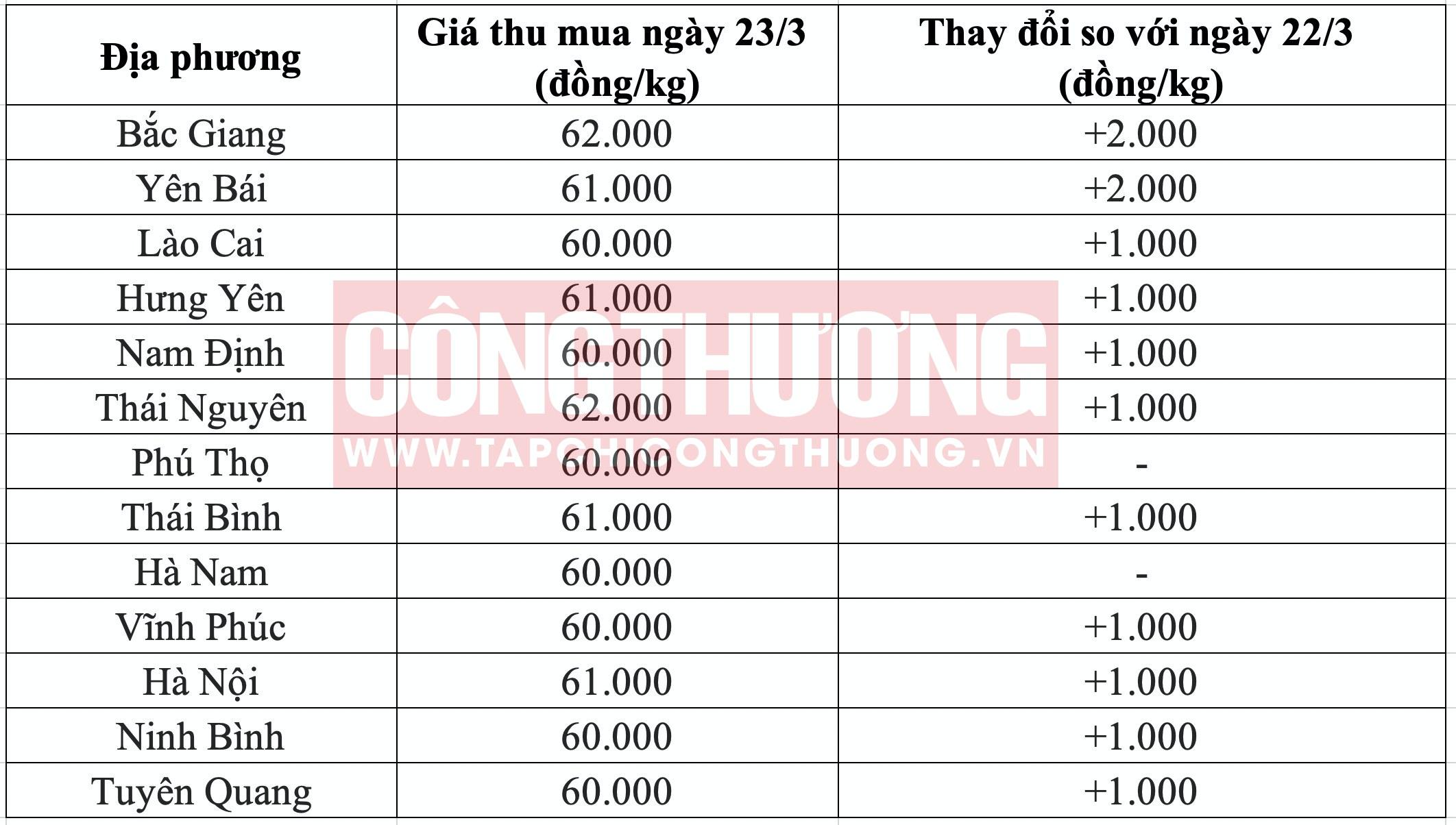 Giá heo hơi hôm nay tại miền Bắc