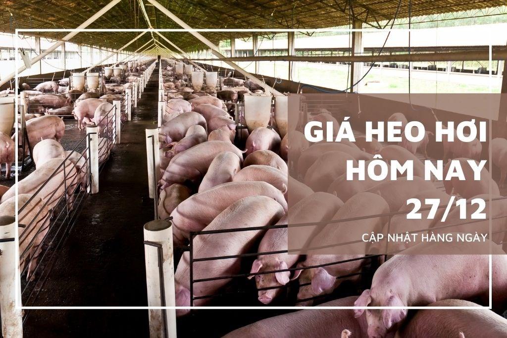 Giá heo hơi hôm nay 27/12: Duy trì thu mua ổn định, cao nhất 52.000 đồng/kg