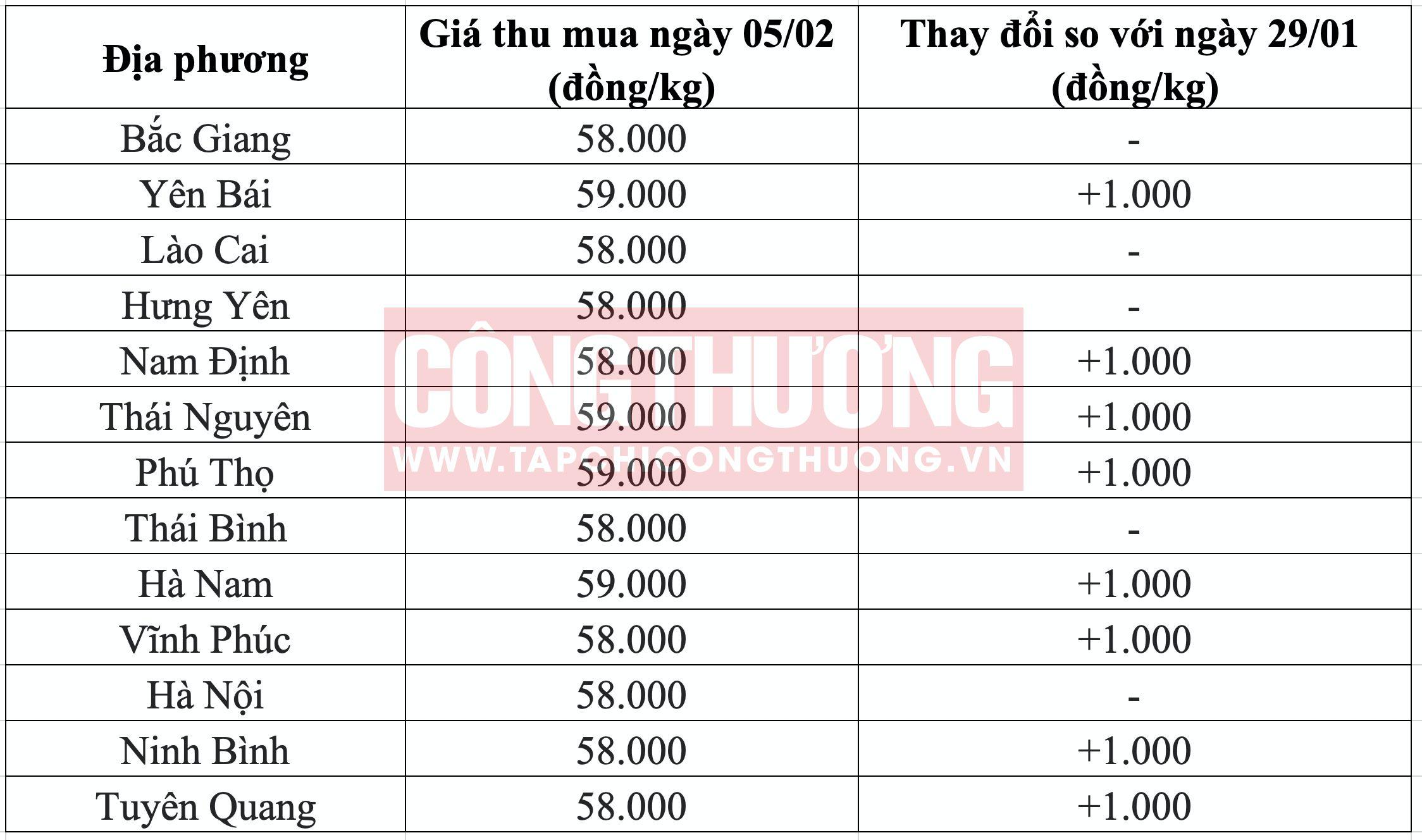 Giá heo hơi hôm nay tại miền Bắc Tạp chí Công Thương