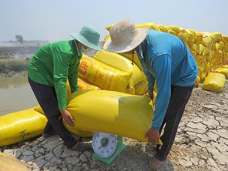 CƠ SỞ DỮ LIỆU NGÀNH CÔNG THƯƠNG - ĐỒNG NAI