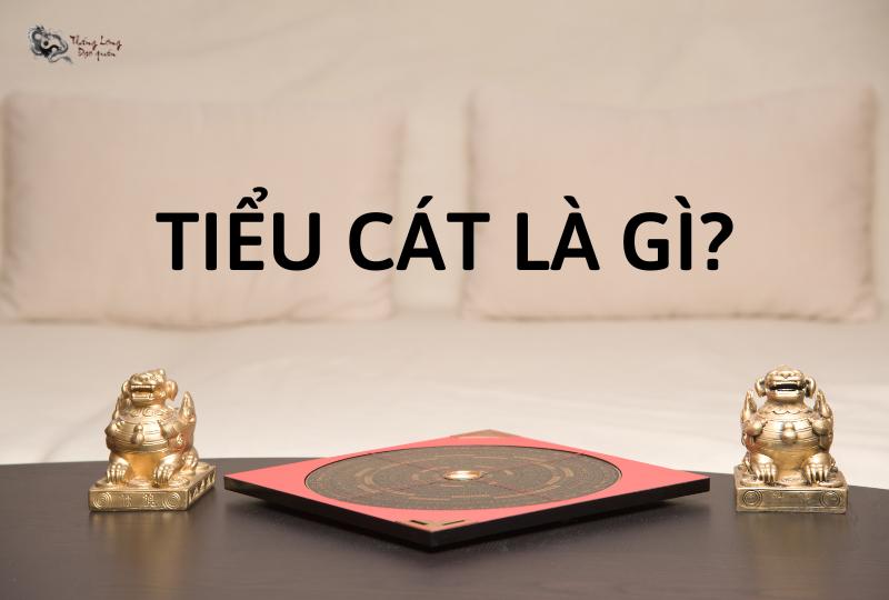 Tiểu Cát là gì?