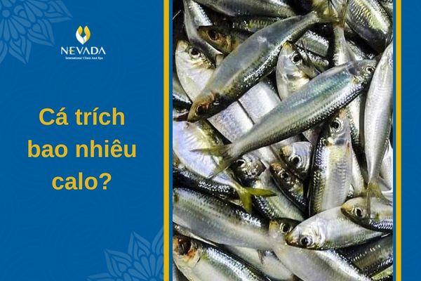 100g cá trích bao nhiêu calo, ép trứng, gỏi, ăn có béo không