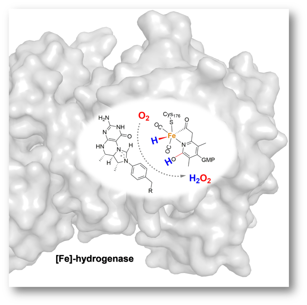 Produktion von H2O2 aus H2 und O2  