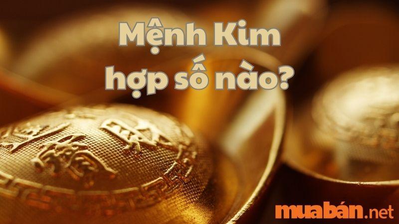 Mệnh Kim hợp số nào?