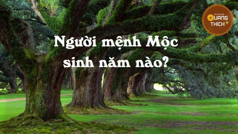 Mệnh Mộc Sinh Năm Nào