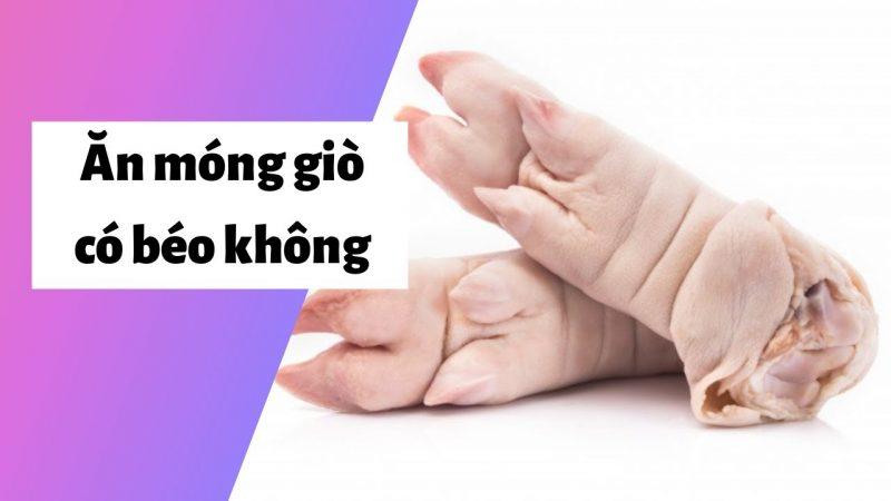 Giò bao nhiêu calo? Ăn nhiều giò có béo không?