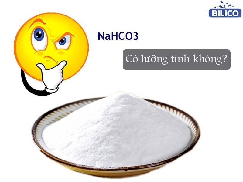 NaHCO3 có lưỡng tính không