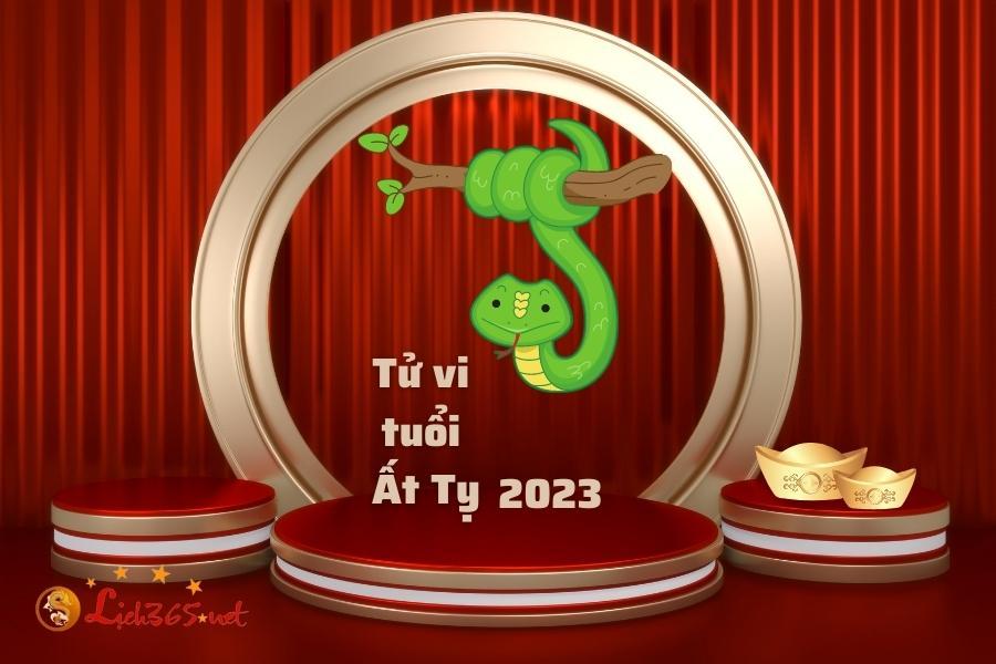 Tử vi tuổi Tỵ năm 2023 nam mạng