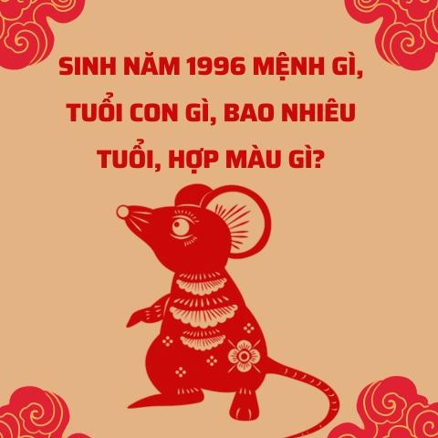 Sinh năm 1996 mệnh gì?