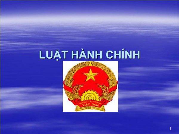 Luật hành chính là gì? Thông tin điều chỉnh luật hành chính