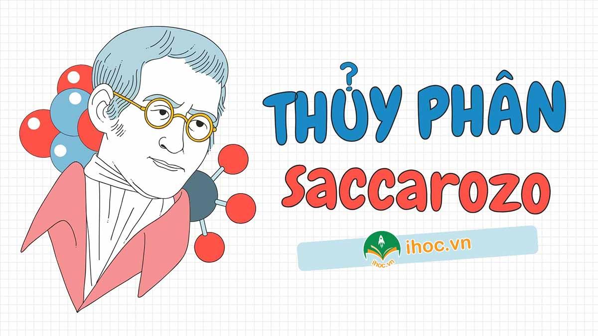 Thủy phân saccarozo là gì?