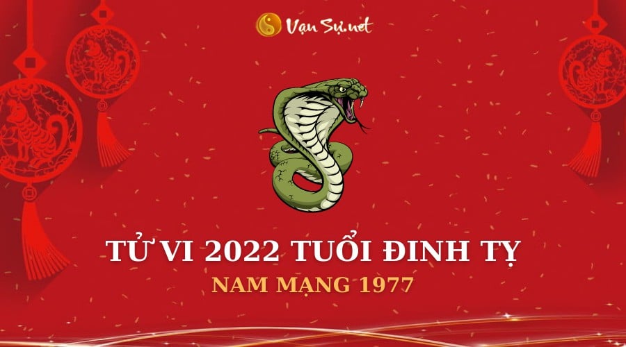 Diễn biến chi tiết tử vi 2022 nam Đinh Tỵ