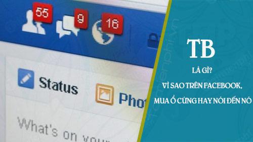 TB là gì? Tại sao khi trò chuyện trên Facebook hoặc khi nói đến việc mua ổ cứng, chúng ta thường nhắc đến khái niệm này?