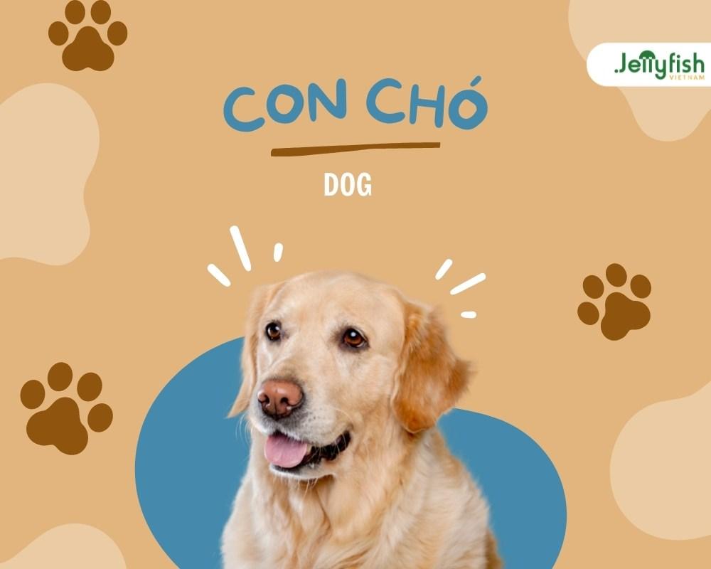 con chó