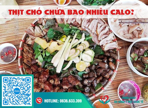 100g thịt chó có chứa bao nhiêu calo? ăn thịt chó có béo không?