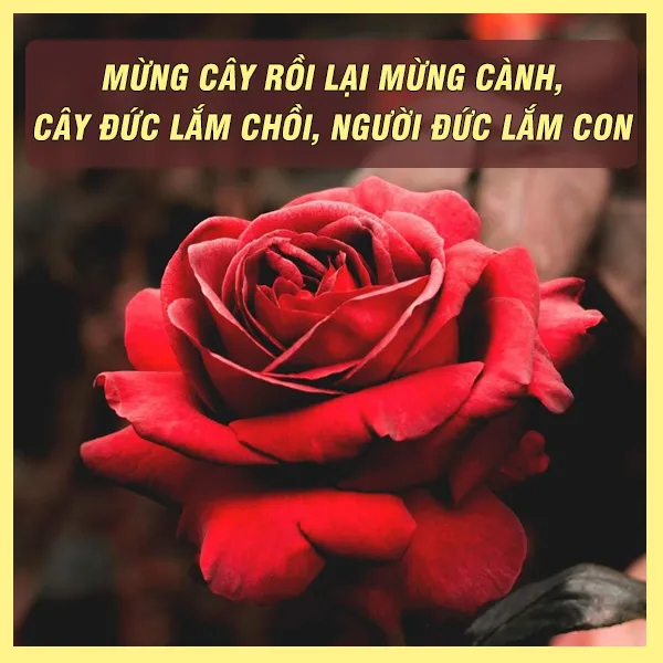 ca-dao-tuc-ngu-ve-long-nhan-ai-voh