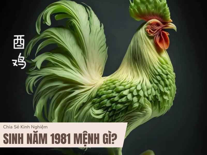 Sinh năm 1981 mệnh gì?