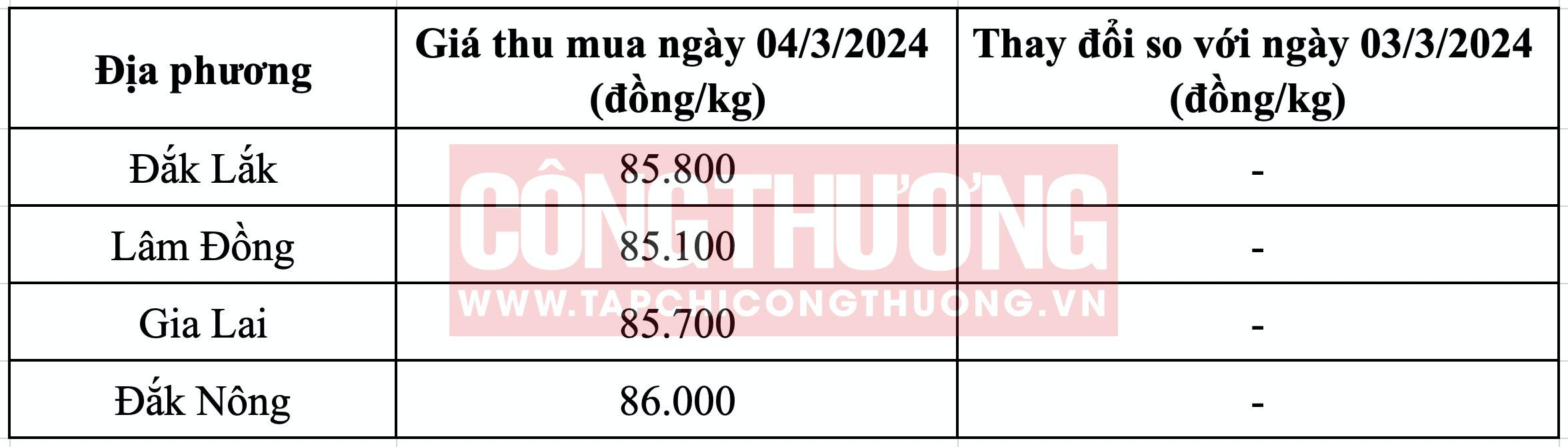 Giá cà phê hôm nay 4/3: Cán mốc 86.000 đồng/kg, tăng 4.000 đồng chỉ trong 1 tuần