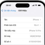 Tìm số sê-ri hoặc IMEI trên iPhone, iPad hoặc iPod touch