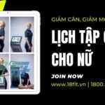 Lịch tập gym cho nữ: Giảm cân, giảm mỡ, lấy lại vóc dáng trong 3 tháng